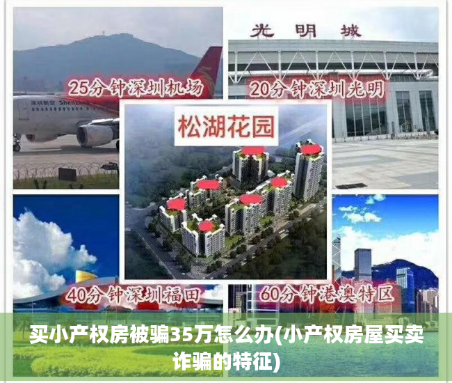 买小产权房被骗35万怎么办(小产权房屋买卖诈骗的特征)