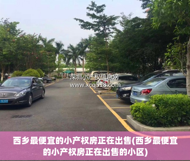 西乡最便宜的小产权房正在出售(西乡最便宜的小产权房正在出售的小区)