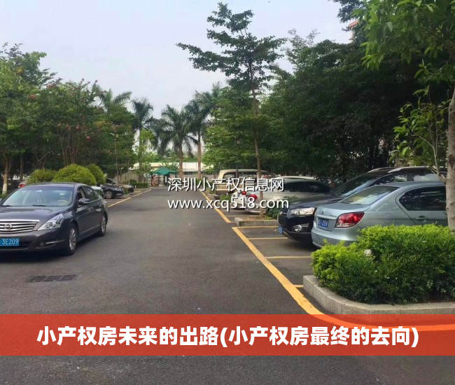 小产权房未来的出路(小产权房最终的去向)