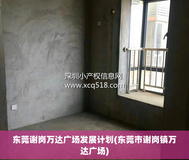 东莞谢岗万达广场发展计划(东莞市谢岗镇万达广场)
