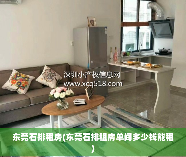 东莞石排租房(东莞石排租房单间多少钱能租)