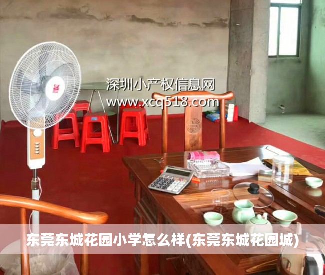 东莞东城花园小学怎么样(东莞东城花园城)
