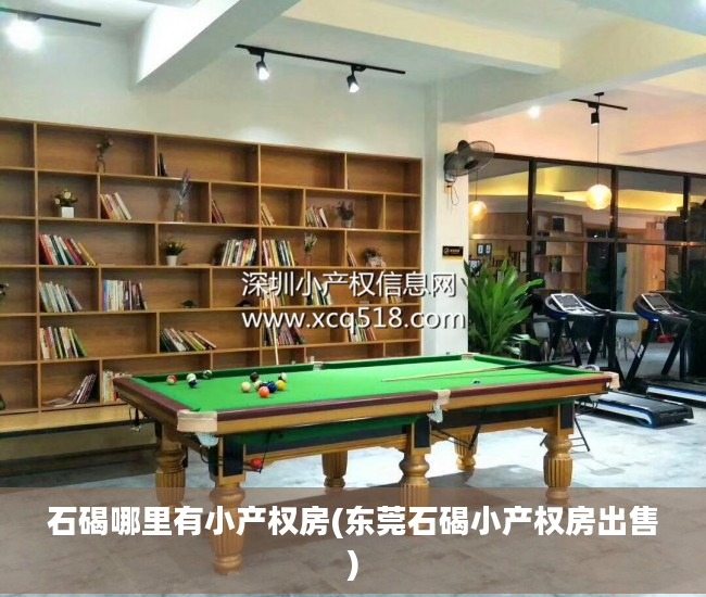 石碣哪里有小产权房(东莞石碣小产权房出售)