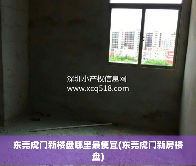 东莞虎门新楼盘哪里最便宜(东莞虎门新房楼盘)