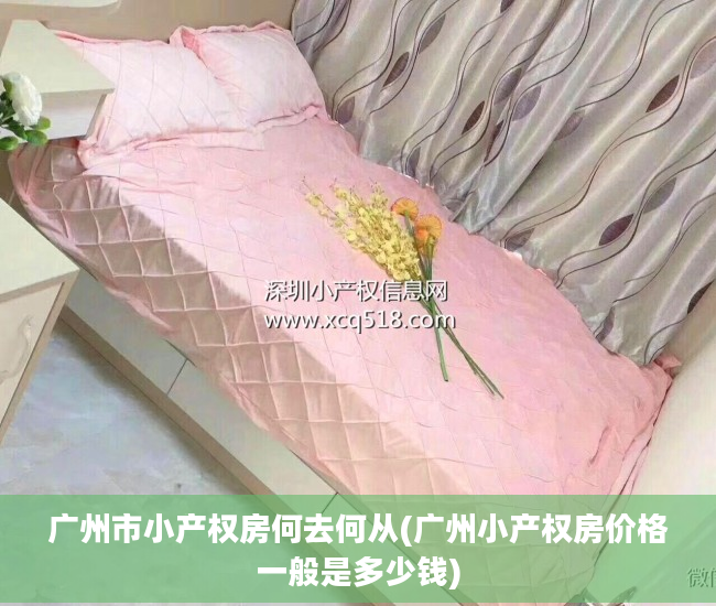 广州市小产权房何去何从(广州小产权房价格一般是多少钱)