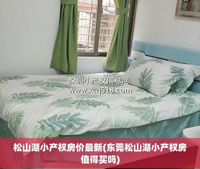 松山湖小产权房价最新(东莞松山湖小产权房值得买吗)