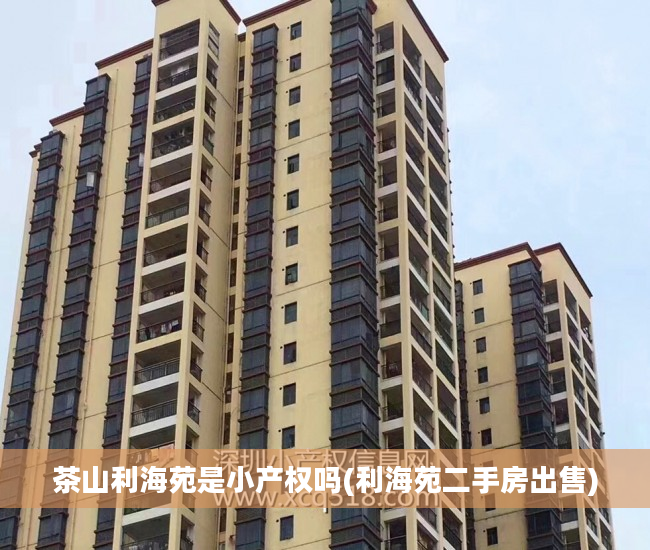茶山利海苑是小产权吗(利海苑二手房出售)