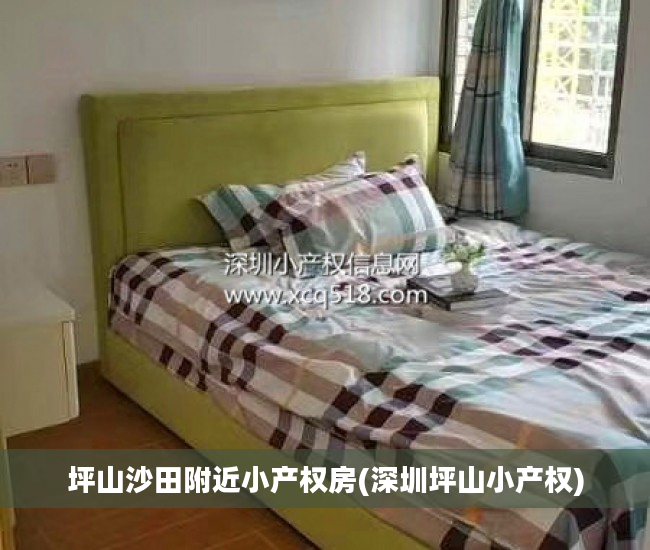 坪山沙田附近小产权房(深圳坪山小产权)