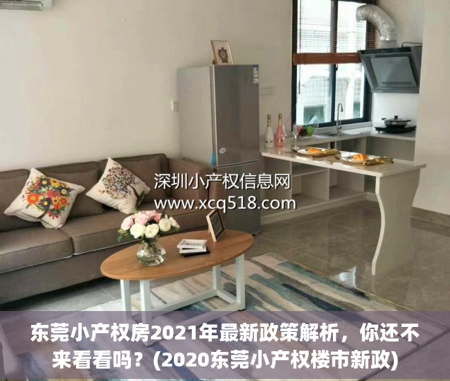 东莞小产权房2021年最新政策解析，你还不来看看吗？(2020东莞小产权楼市新政)