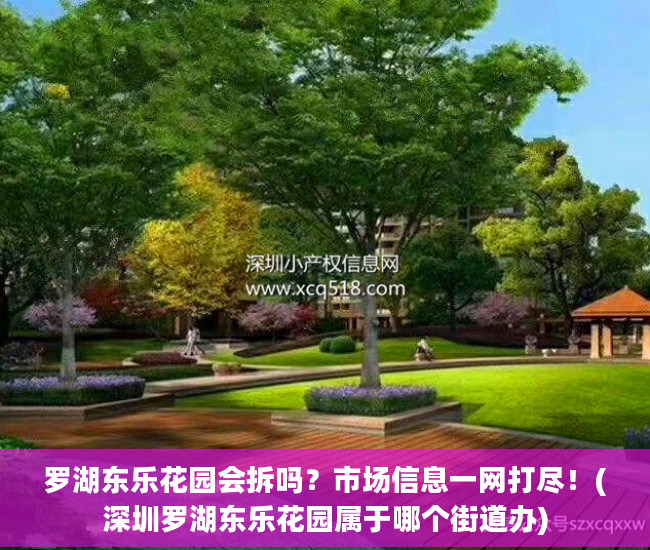 罗湖东乐花园会拆吗？市场信息一网打尽！(深圳罗湖东乐花园属于哪个街道办)