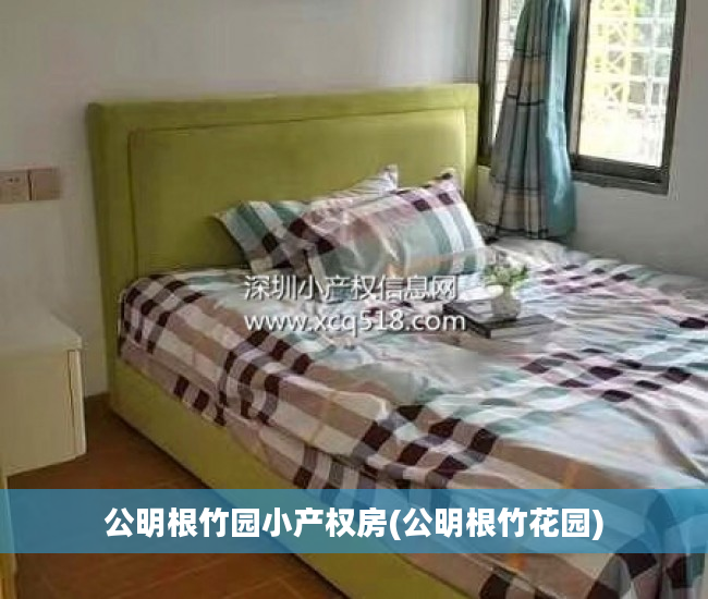 公明根竹园小产权房(公明根竹花园)