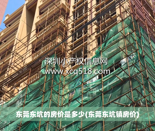 东莞东坑的房价是多少(东莞东坑镇房价)