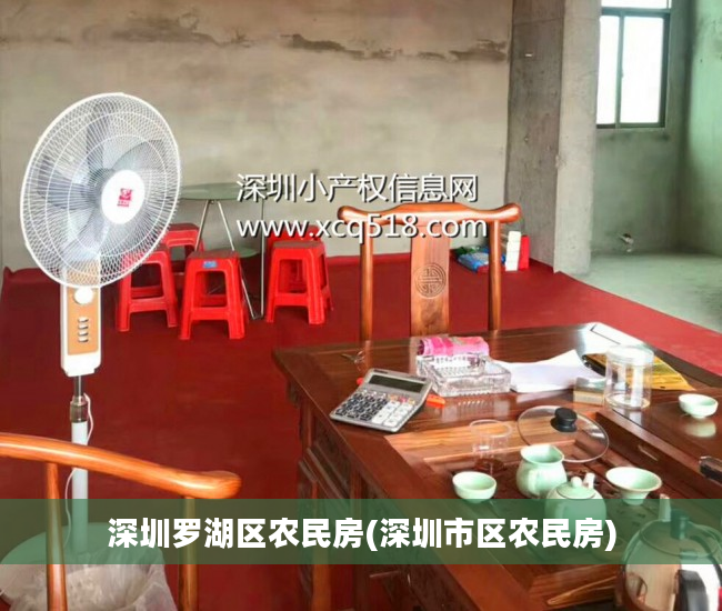 深圳罗湖区农民房(深圳市区农民房)