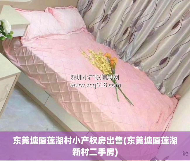 东莞塘厦莲湖村小产权房出售(东莞塘厦莲湖新村二手房)