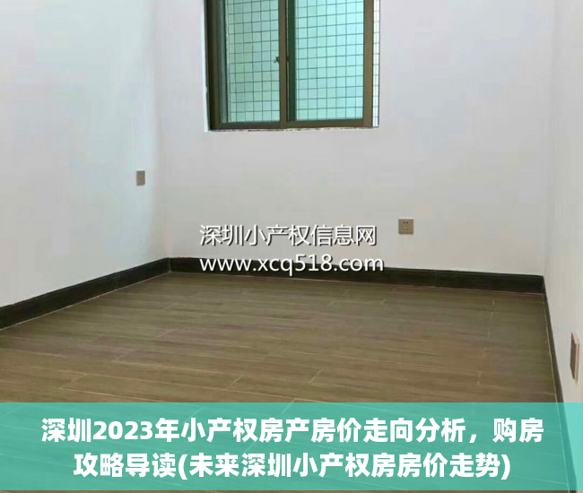 深圳2023年小产权房产房价走向分析，购房攻略导读(未来深圳小产权房房价走势)