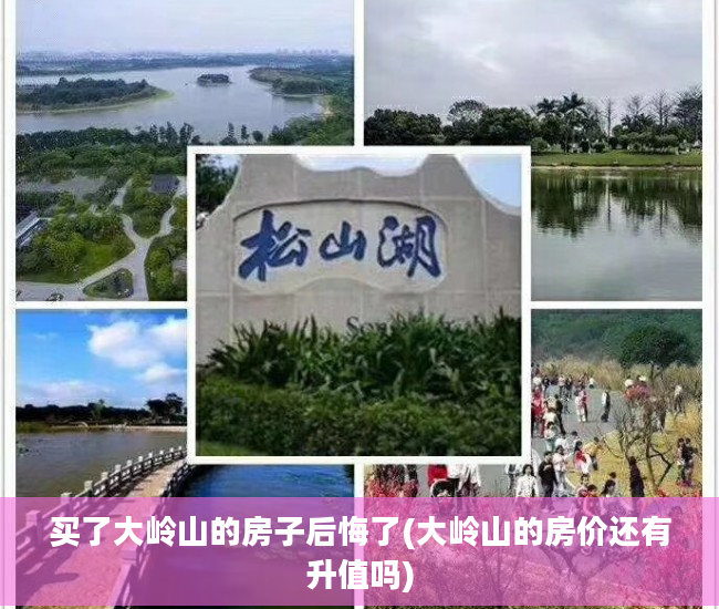 买了大岭山的房子后悔了(大岭山的房价还有升值吗)