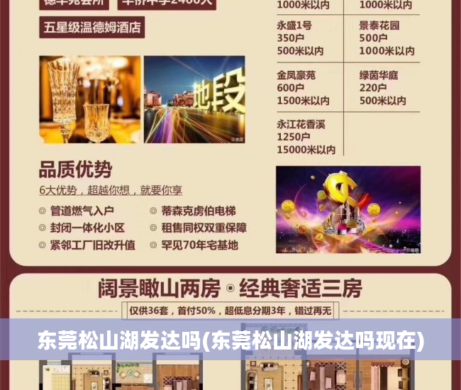 东莞松山湖发达吗(东莞松山湖发达吗现在)