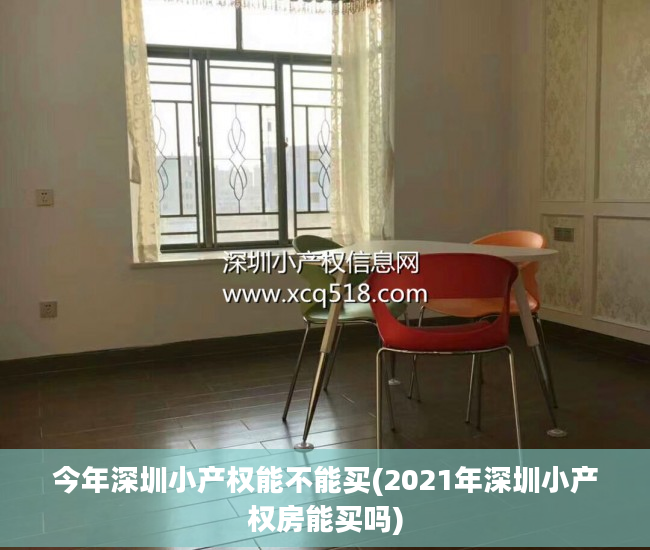 今年深圳小产权能不能买(2021年深圳小产权房能买吗)