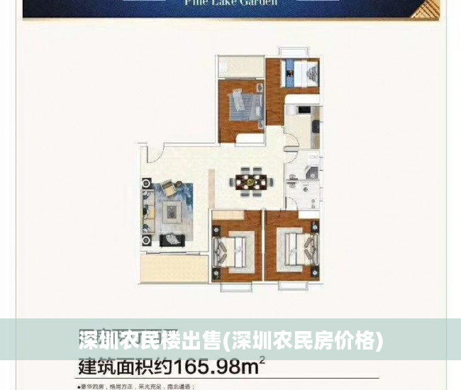 深圳农民楼出售(深圳农民房价格)
