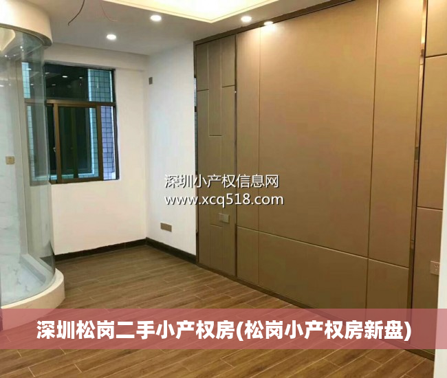 深圳松岗二手小产权房(松岗小产权房新盘)