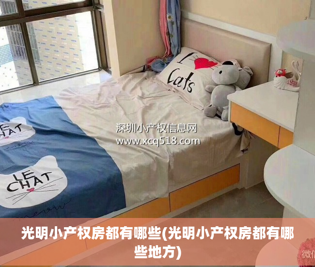 光明小产权房都有哪些(光明小产权房都有哪些地方)