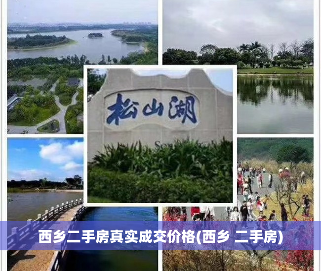西乡二手房真实成交价格(西乡 二手房)