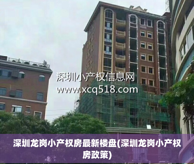 深圳龙岗小产权房最新楼盘(深圳龙岗小产权房政策)