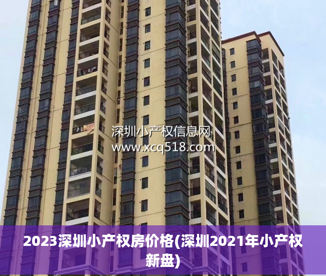 2023深圳小产权房价格(深圳2021年小产权新盘)
