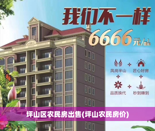 坪山区农民房出售(坪山农民房价)