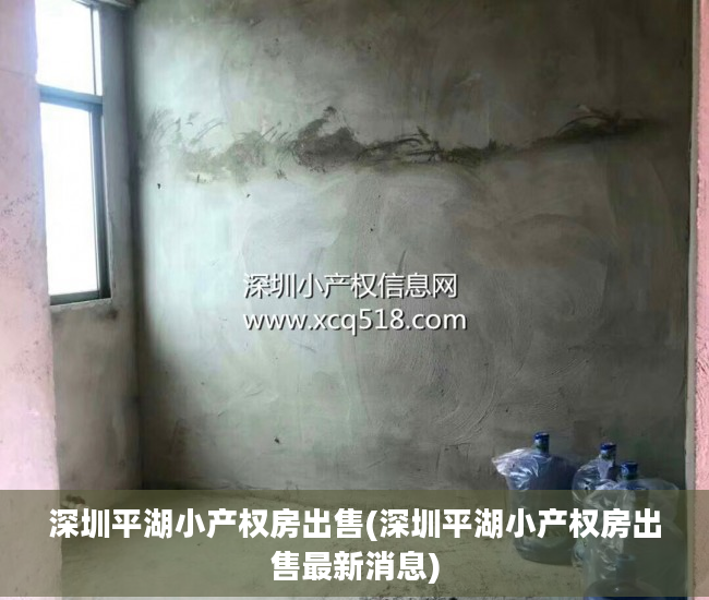 深圳平湖小产权房出售(深圳平湖小产权房出售最新消息) 深圳平湖小产权房出售(深圳平湖小产权房出售最新消息)