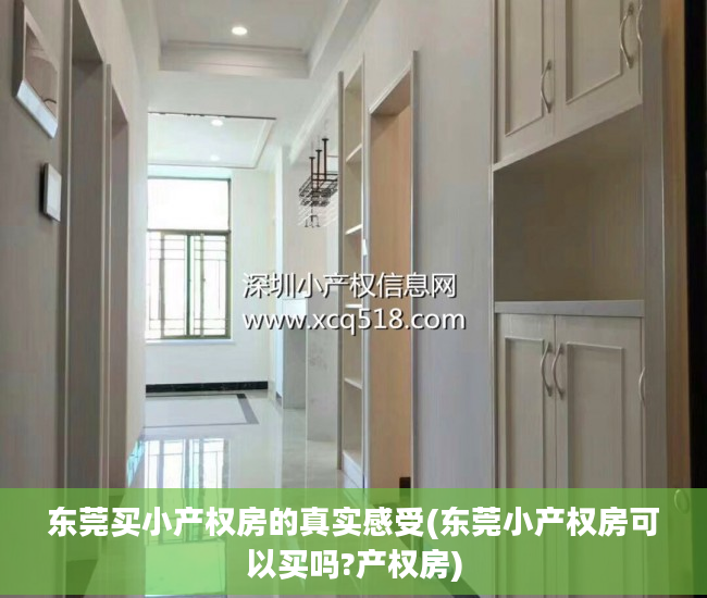 东莞买小产权房的真实感受(东莞小产权房可以买吗?产权房)