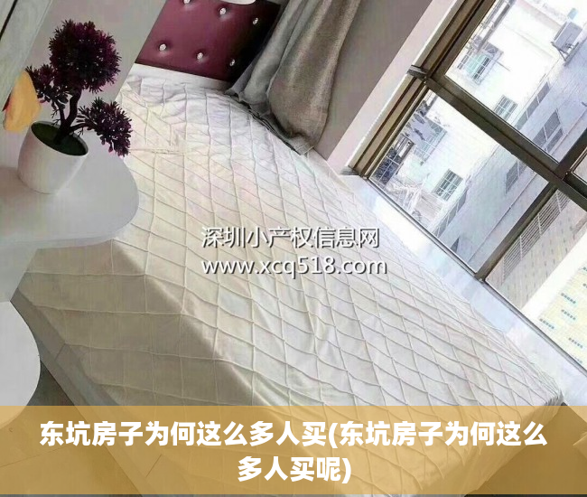 东坑房子为何这么多人买(东坑房子为何这么多人买呢)