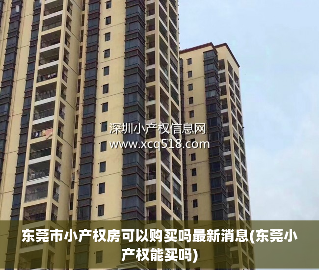 东莞市小产权房可以购买吗最新消息(东莞小产权能买吗)