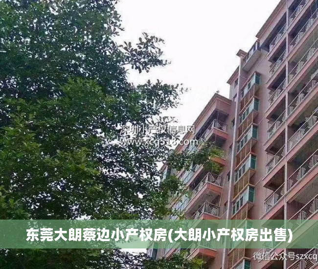 东莞大朗蔡边小产权房(大朗小产权房出售)