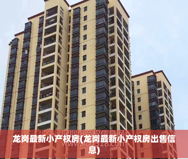 龙岗最新小产权房(龙岗最新小产权房出售信息)