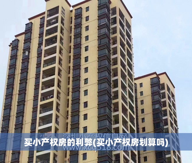 买小产权房的利弊(买小产权房划算吗)