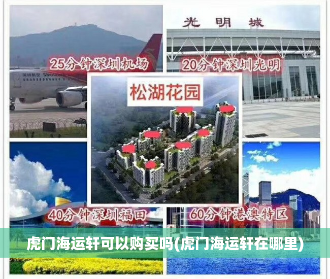 虎门海运轩可以购买吗(虎门海运轩在哪里)