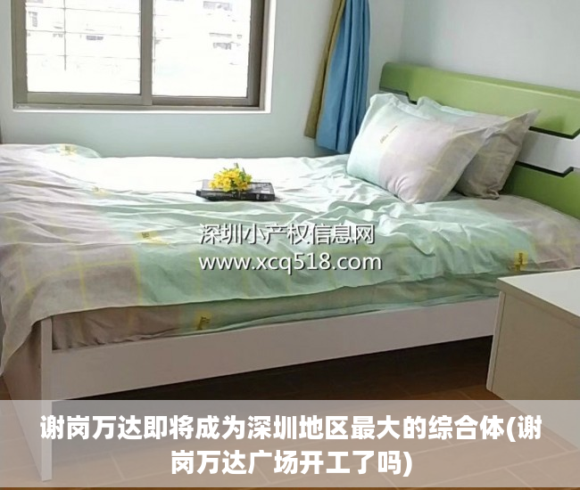 谢岗万达即将成为深圳地区最大的综合体(谢岗万达广场开工了吗)