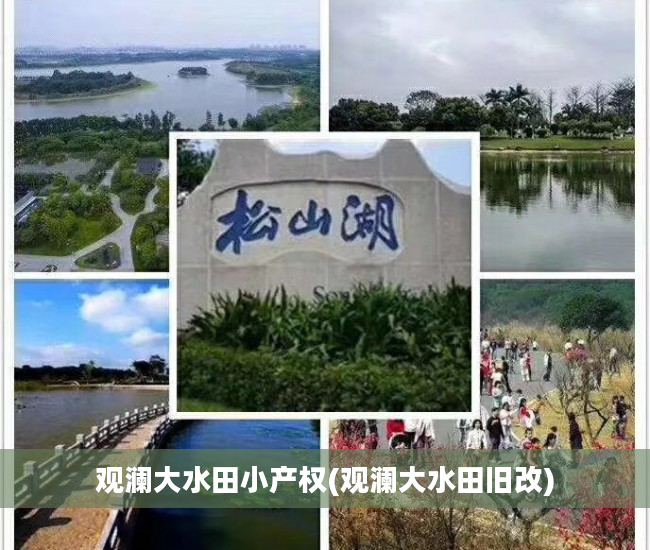 观澜大水田小产权(观澜大水田旧改)