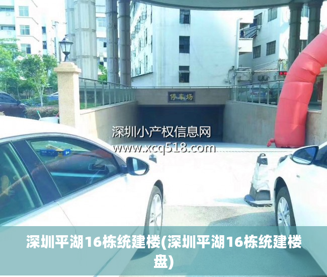深圳平湖16栋统建楼(深圳平湖16栋统建楼盘)