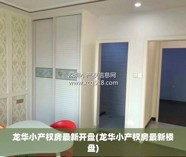 龙华小产权房最新开盘(龙华小产权房最新楼盘)