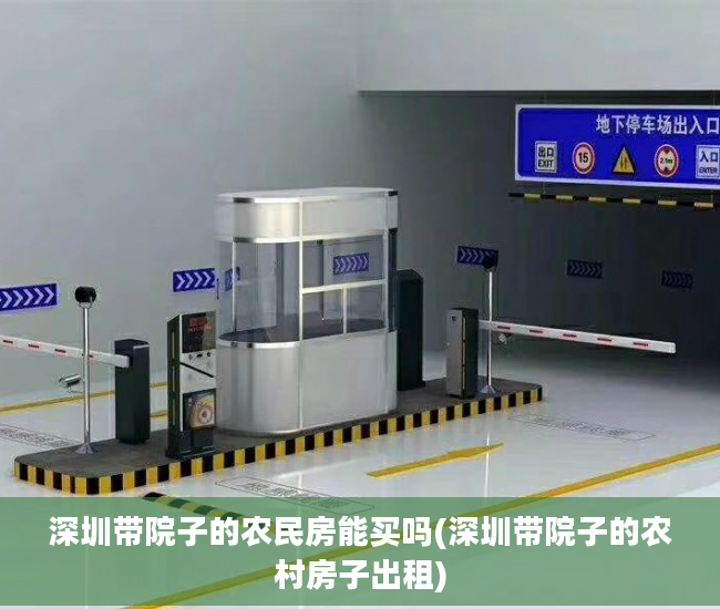 深圳带院子的农民房能买吗(深圳带院子的农村房子出租)