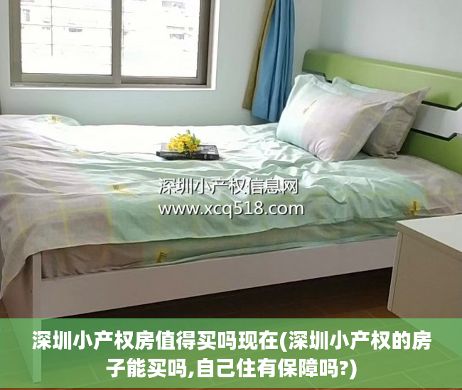 深圳小产权房值得买吗现在(深圳小产权的房子能买吗,自己住有保障吗?)