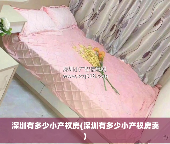 深圳有多少小产权房(深圳有多少小产权房卖)