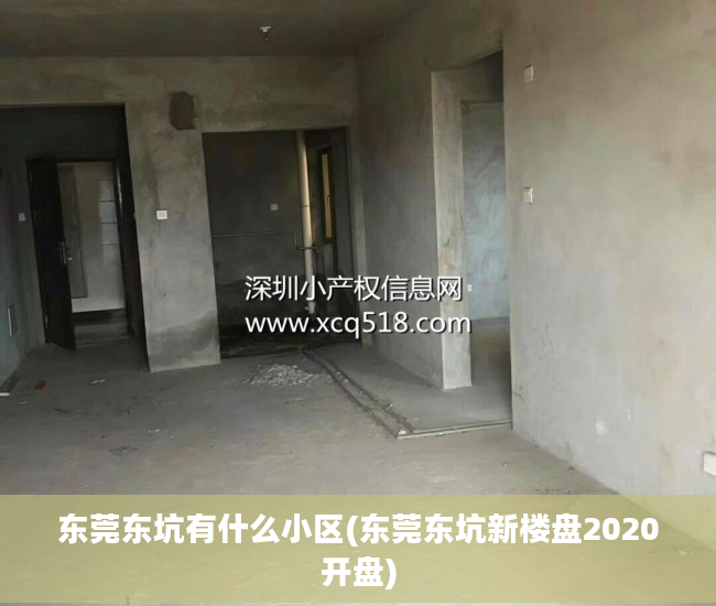 东莞东坑有什么小区(东莞东坑新楼盘2020开盘)