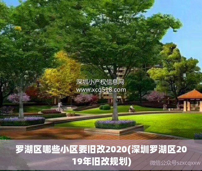 罗湖区哪些小区要旧改2020(深圳罗湖区2019年旧改规划)