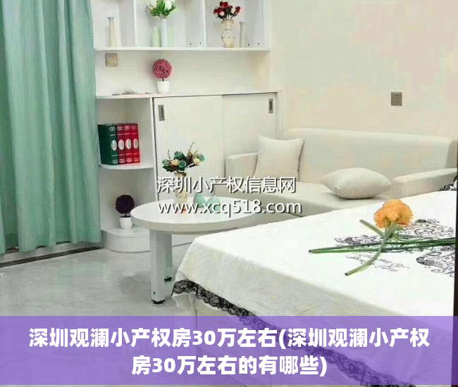 深圳观澜小产权房30万左右(深圳观澜小产权房30万左右的有哪些)