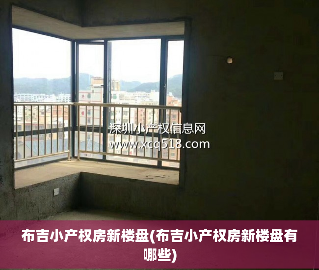 布吉小产权房新楼盘(布吉小产权房新楼盘有哪些)