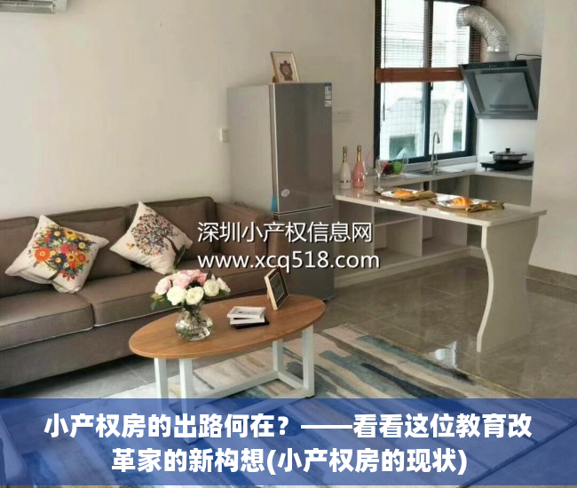 小产权房的出路何在？——看看这位教育改革家的新构想(小产权房的现状)