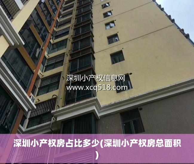 深圳小产权房占比多少(深圳小产权房总面积)
